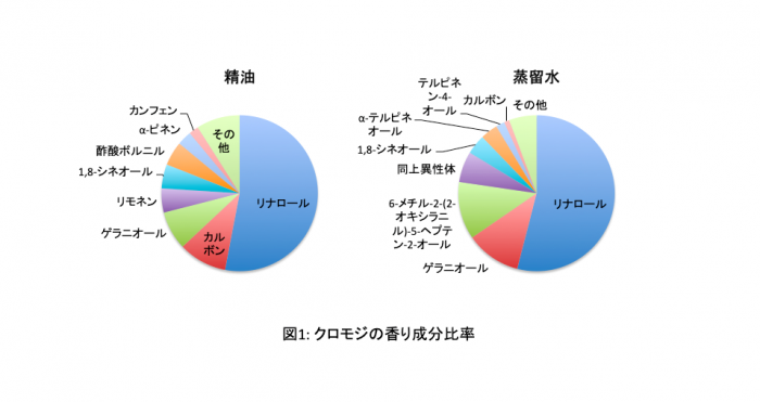 クロモジってどんな木 特徴や精油の効果について えそらフォレスト株式会社